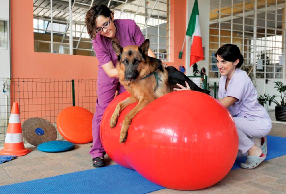 PVC-Fitnessgeräte Ledraplastic S. p. A.